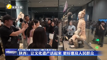 陕西：让文化遗产活起来 更好惠及人民群众