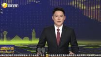 前5月陕西进出口总值同比增长83.6%