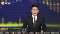 赵家小院：铁锅藏烟火 东北味最真