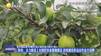 陕西：全力推进上合组织农业基地建设 持续擦亮多边合作金字招牌
