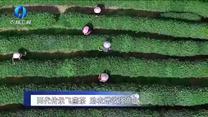 农村大市场（2026-06-15）