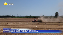 麦茬地里“淘金”的新农人