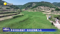多彩民俗迎端午 浓浓温情暖人心