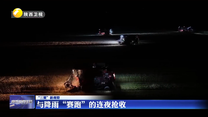 与降雨“赛跑”的连夜抢收
