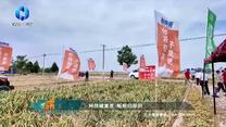 中国农资秀 (2026-06-21)