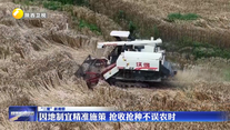 因地制宜精准施策 抢收抢种不误农时