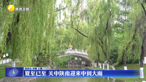 夏至已至 关中陕南迎来中到大雨