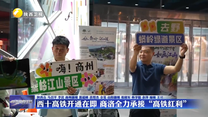 西十高铁开通在即 商洛全力承接“高铁红利”