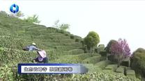 农村大市场 (2026-06-23)