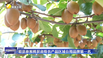 眉县猕猴桃获省级农产品区域公用品牌第一名
