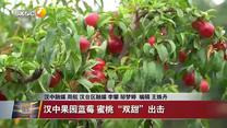 晚间新闻站（2026-06-24）