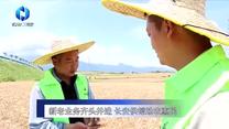 农村大市场 (2026-06-26)