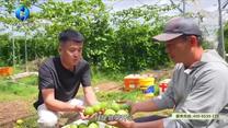 中国农资秀 (2026-06-27)