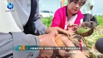 中国农资秀（2026-06-29）