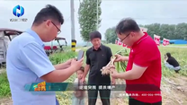 中国农资秀（2026-06-17）