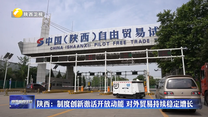 陕西：制度创新激活开放动能 对外贸易持续稳定增长