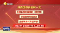 陕西18个集体19人获共青团中央表彰