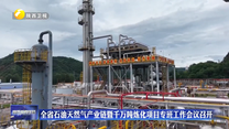全省石油天然气产业链暨千万吨炼化项目专班工作会议召开