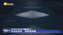 岭染层林翠 城裹夏荫稠