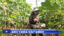 盛夏时节果飘香 特色产业增收忙