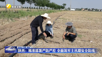 陕西：精准部署严防严控 全面筑牢主汛期安全防线