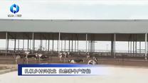 农村大市场（2026-07-05）