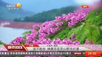 都市热线 (2026-07-07)