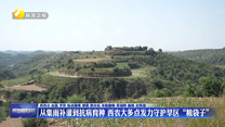 从集雨补灌到抗病育种 西农大多点发力守护旱区“粮袋子”