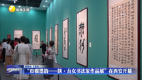 “巾帼墨韵——陕·台女书法家作品展”在西安开幕