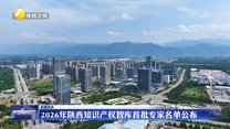 2026年陕西知识产权智库首批专家名单公布