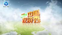 中国农资秀 (2026-07-11)
