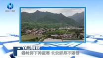 农村大市场 (2026-07-12)