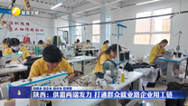 陕西：供需两端发力 打通群众就业路企业用工链
