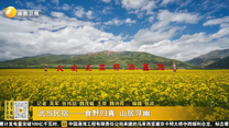 武当民宿——食野归真 山居寻幽