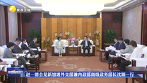 赵一德会见新加坡外交部兼内政部高级政务部长沈颖一行