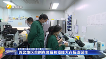 西北地区首例克隆猫和克隆犬在杨凌诞生
