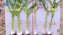 中国农资秀（2026-07-14）