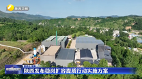 陕西发布稳岗扩容提质行动实施方案