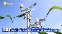 陕西：强化农业科技支撑 奋力推进农业现代化