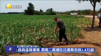 战高温保灌溉 渭南二黄灌区日灌溉农田1.8万亩