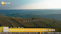 杨凌科技合作体系助力韩城花椒产业提质扩量增收