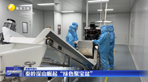秦岭深山崛起“绿色聚宝盆”