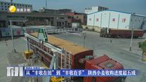 从“丰收在田”到“丰收在手” 陕西小麦收购进度超五成