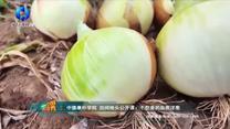 中国农资秀（2026-07-19）