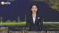 从七成“流”到七成“留” 黄土高原水土治理实现从“局部改善”到“整体好转”的历史性跨越