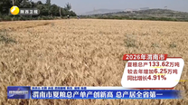 渭南市夏粮总产单产创新高 总产居全省第一