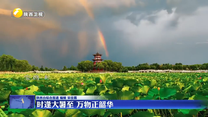 时逢大暑至 万物正韶华
