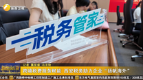 跨境税费服务赋能 西安税务助力企业“扬帆海外”