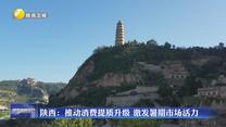 陕西：推动消费提质升级 激发暑期市场活力
