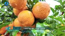 中国农资秀（2026-07-28）